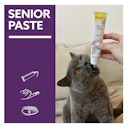 Vorschaubild GimCat Senior Paste 50g Katzensnack