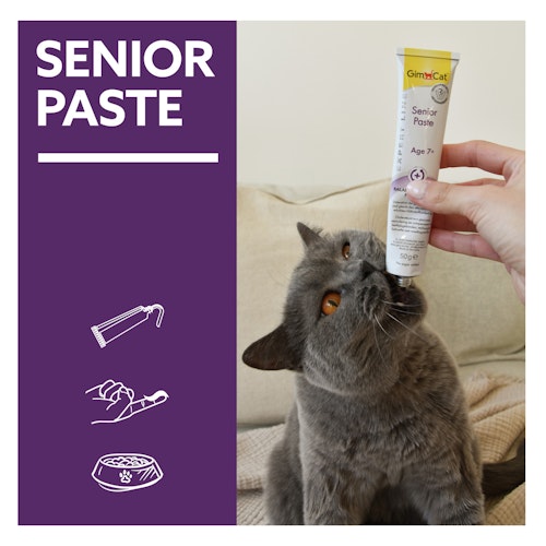 GimCat Senior Paste 50g Katzensnack