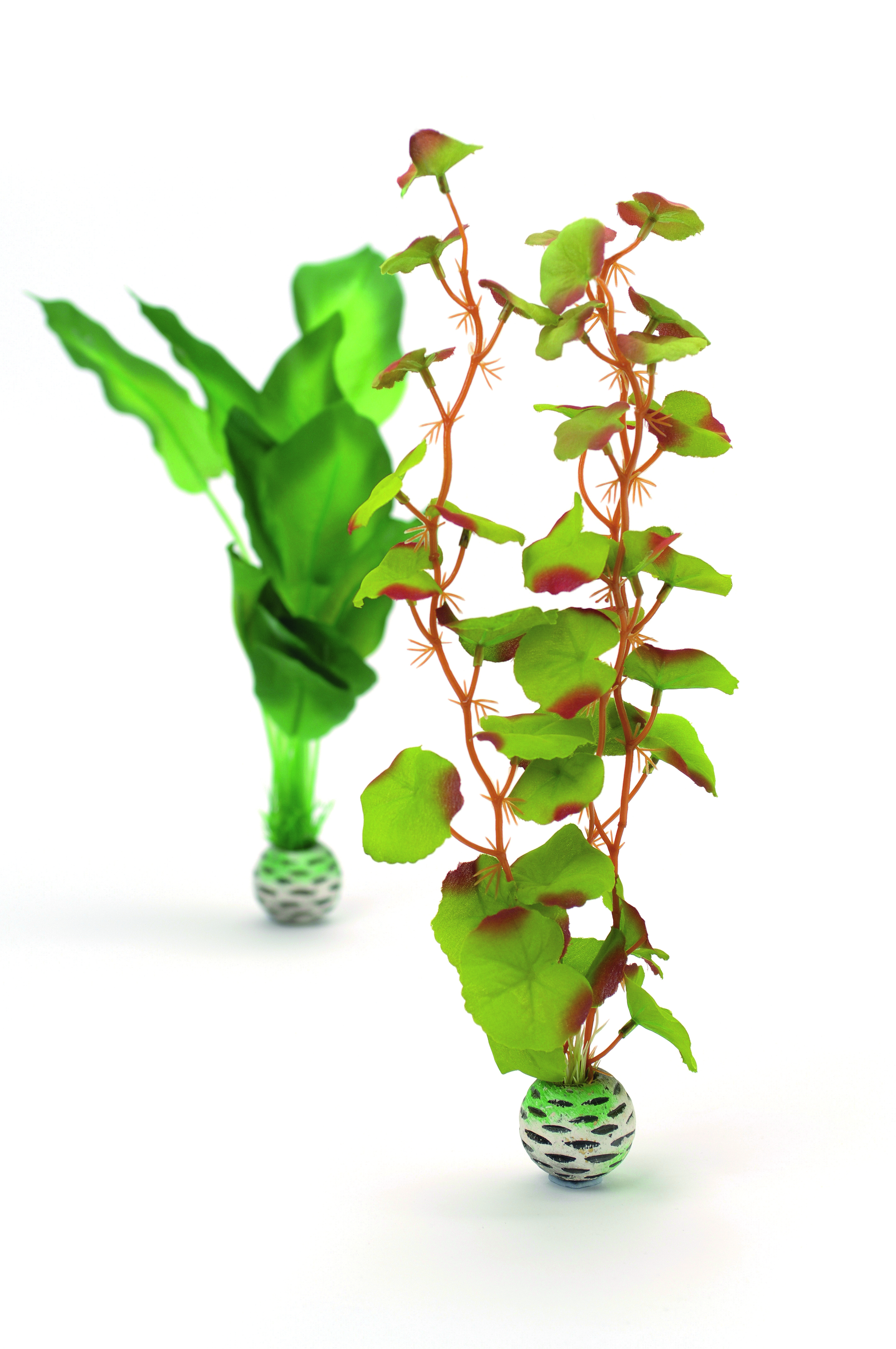 biOrb Seidenpflanzen Set mittelgroß grün (46100)