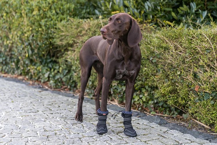 TRIXIE Pfotenschutz Walker Active Long, 2 St., schwarz