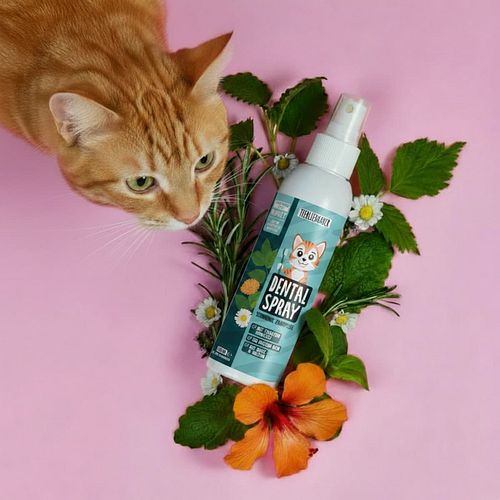 Tierliebhaber Dentalspray für Katzen
