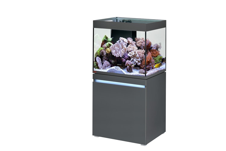 EHEIM incpiria reef 230 Meerwasser-Riff-Aquarium mit Unterschrank