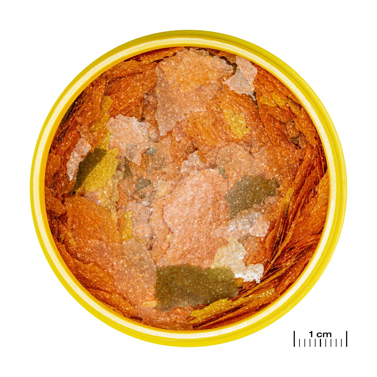 JBL Pronovo Tanganyika Flakes Fischfutter