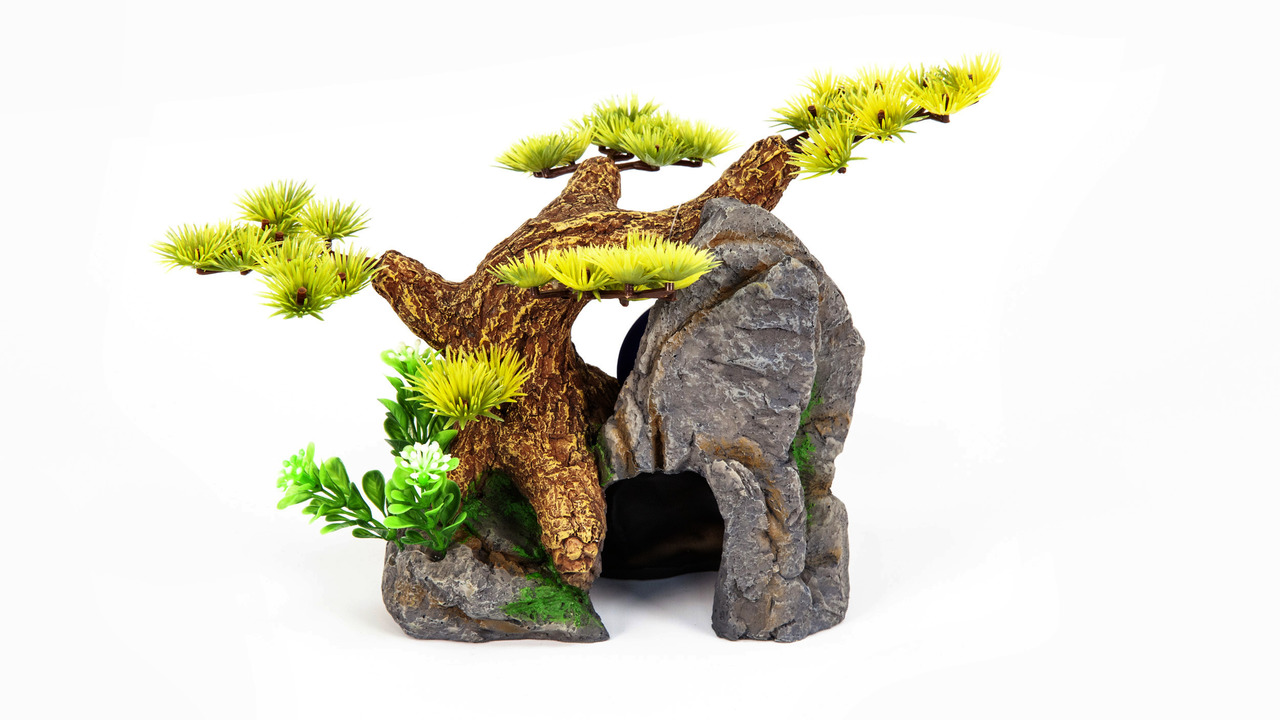 aquatlantis Bonsai Höhle