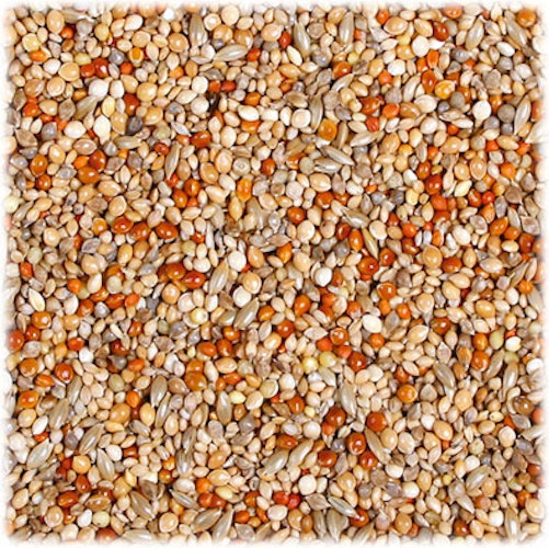 JR FARM Birds Exoten-Schmaus 1kg Vogelfutter