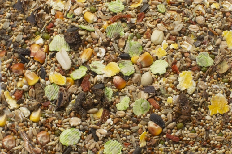 JR FARM Rennmäuse-Schmaus Kleintierfutter