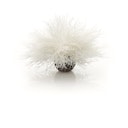 Vorschaubild biOrb Seelilie weiß (46078)