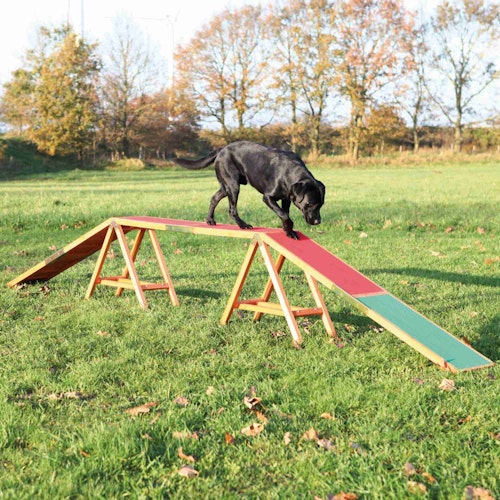 TRIXIE Dog Activity Agility Steg 456x30x64cm