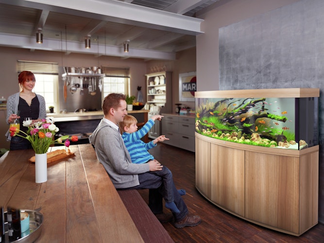 JUWEL Vision 450 LED Aquarium Set