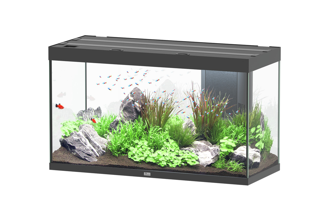 Aquatlantis Sublime 335 Piano Schwarz Aquarium-Set