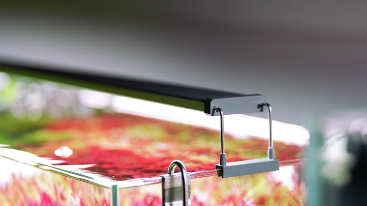 Chihiros B-Serie Bluetooth Aquariumbeleuchtung