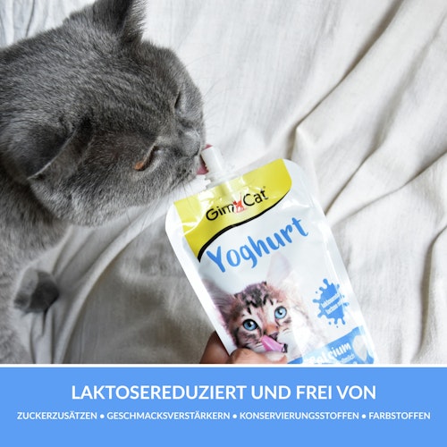 Gimpet Cat Yoghurt Katzensnack