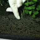 Vorschaubild JBL PROFLORA 7 + 13 Kugeln