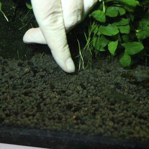 JBL PROFLORA 7 + 13 Kugeln