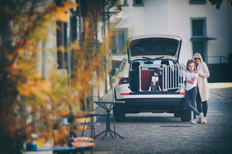 4pets Hundetransportbox ECO 1