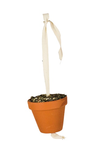 JR FARM Birds Tontöpfchen Großsittich & Papagei 260g Vogelsnack