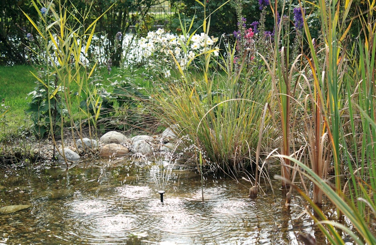 Pontec Solar-Wasserspielset PondoSolar 150