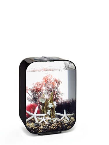 biOrb Decor Set 15L Red Forest (48442)
