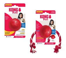 KONG Dog-Toy Mixpaket Nr.4 S Hundespielzeug