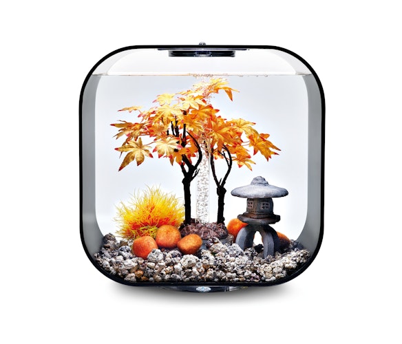 biOrb Decor Set 30L Herbst (55027)