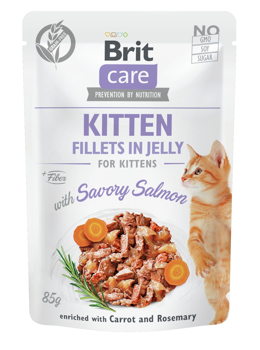 Brit Care Fillets in Jelly 85 Gramm Katzennassfutter 24 x 85 Gramm Salmon Kitten