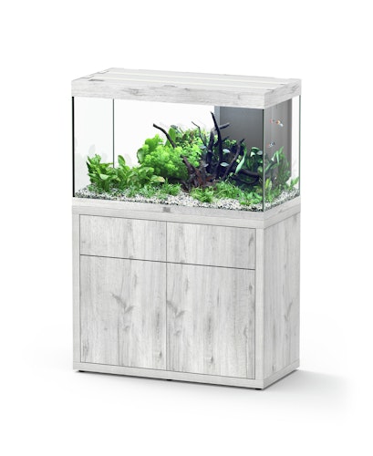 Aquatlantis Sublime 245 100x50cm Aquarium mit Unterschrank