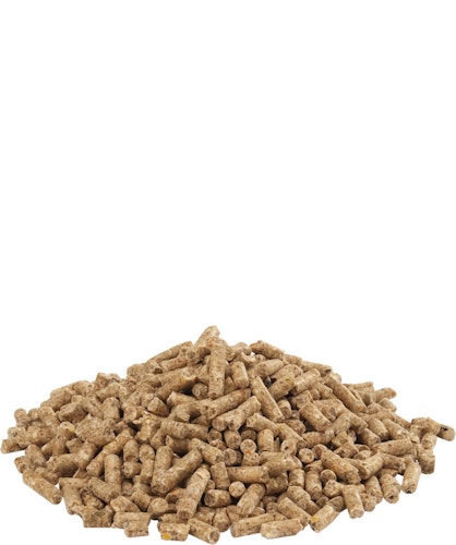 VERSELE-LAGA Gold 4 Gallico pellet 20kg