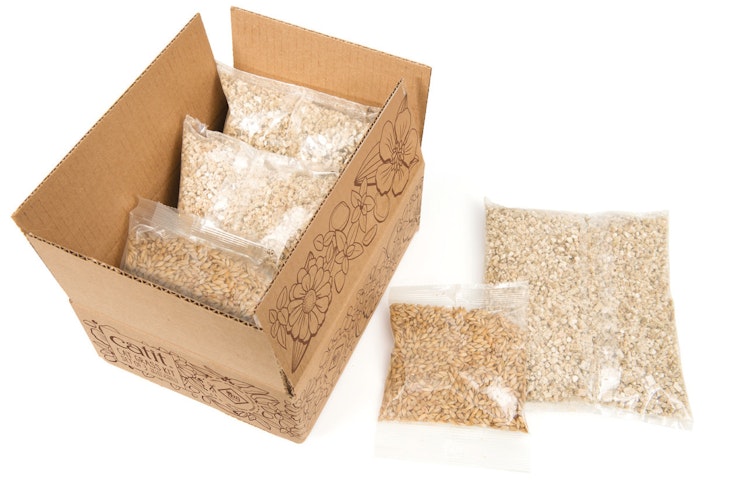 catit Senses 2.0 Grassamen-Kit 3er Katzenspielzeug