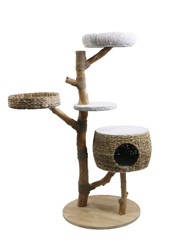 NOBBY Kratzbaum "ARBO" cream 70 x 70 x 150 cm