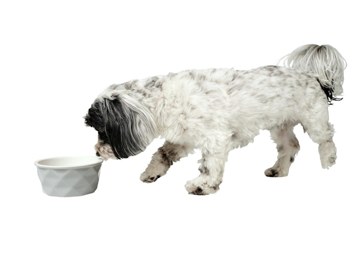 HUNTER Keramik-Napf Eiby grau Hundenapf