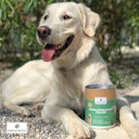 Vorschaubild Paws&Patch GRÜNLIPPMUSCHEL PULVER 150g