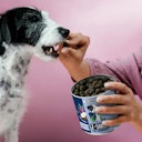 Vorschaubild Tierliebhaber Z-Snack