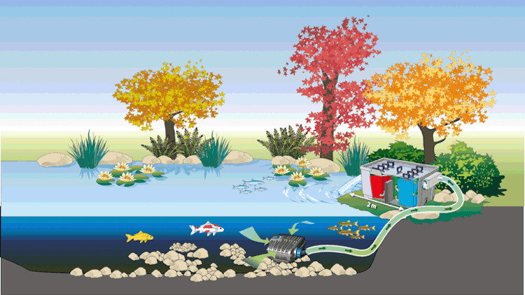 Oase Durchlauffilter BioSmart 36000