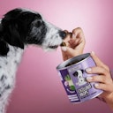 Vorschaubild Tierliebhaber Chillout Drops