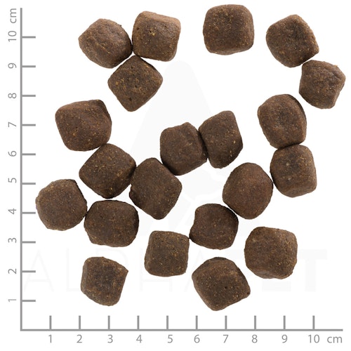 WOLFSBLUT Green Valley Lamm und Lachs mit Kartoffeln Hundetrockenfutter