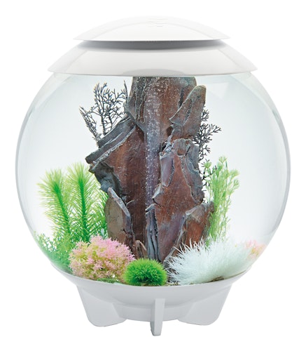 biOrb HALO 60 LED weiß (72044)