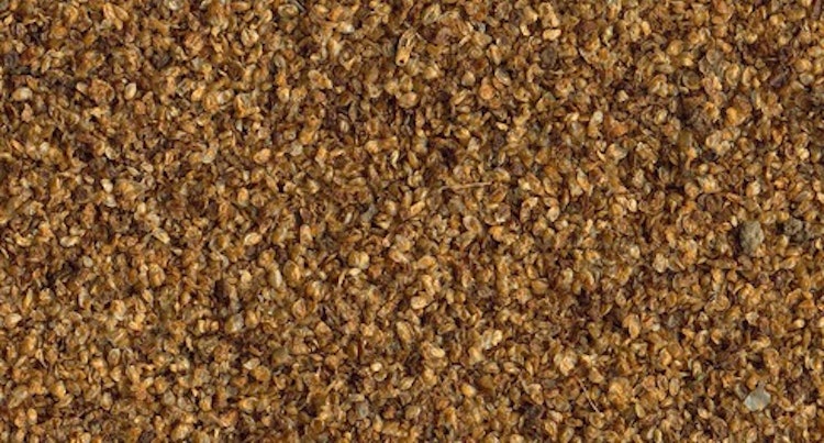 Tetra Delica Daphnien / Wasserflöhe 100ml