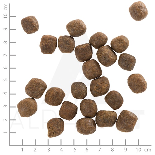 WOLFSBLUT Cold River Forelle mit Süßkartoffeln Hundetrockenfutter