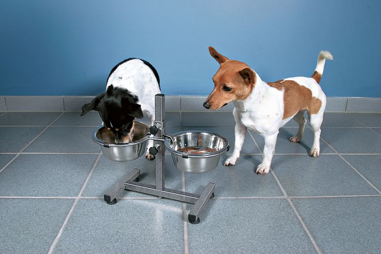 TRIXIE Hundebar, Edelstahl/Metall, 2 × 0,75 l/ø 17 cm