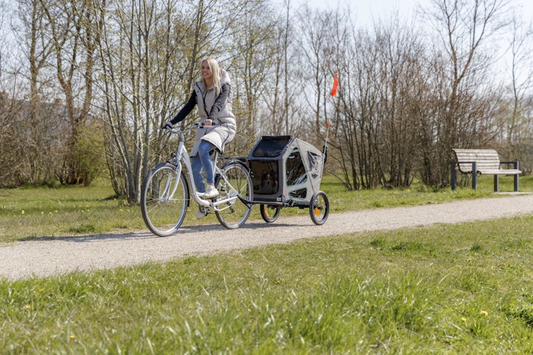 TRIXIE Fahrrad-Anhänger
