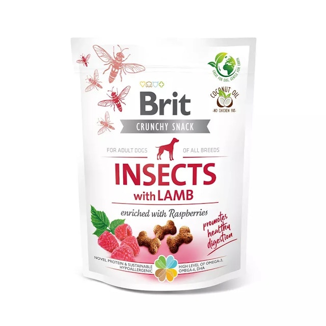 Brit InsectsVorschaubild