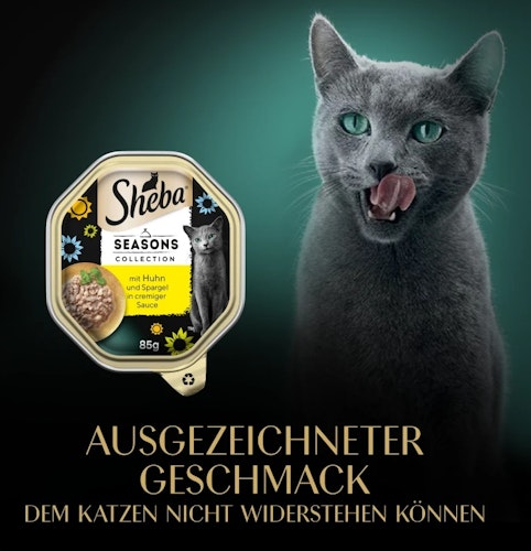 Sheba Seasons Collection wechselnde Sorten 22x85 g