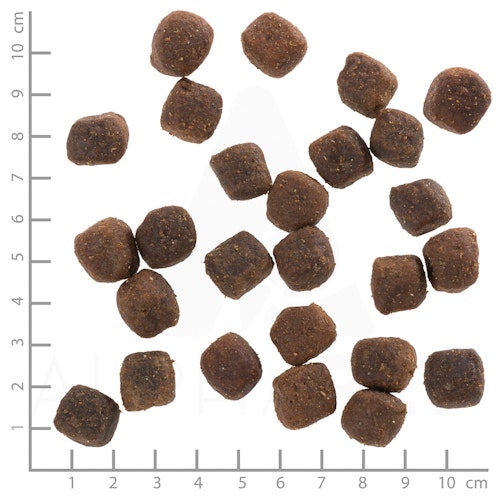 WOLFSBLUT Deep Glade Rothirsch und Wasserbüffel Hundetrockenfutter