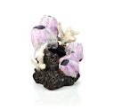 Vorschaubild biOrb Seepflanzen Ornament klein pink (46145)