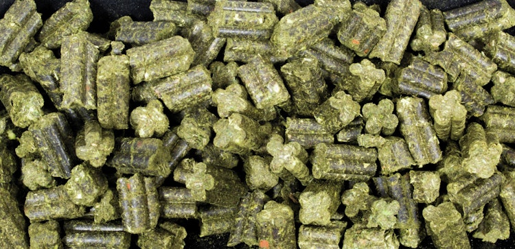 JR FARM Grainless Complete Zwergkaninchen Kleintierfutter