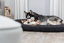 Vorschaubild TRIXIE Kissen Samoa Classic, oval, schwarz