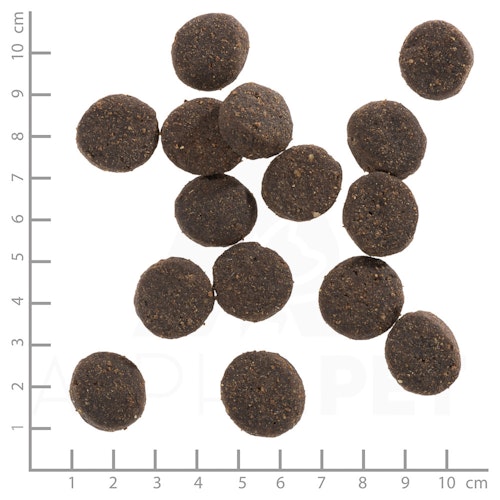 WOLFSBLUT Blue Mountain Wildfleisch mit Kartoffeln Hundetrockenfutter