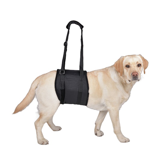 Vetlando Tragehilfe Hundepflegeartikel