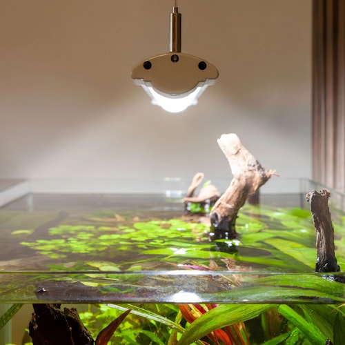 Aquatlantis EasyLED Universal 2.0 marine blue
