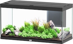 Aquatlantis Volga 350 LED Schwarz Aquarium